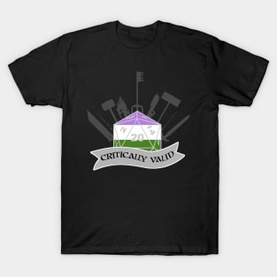 Critically Valid: Genderqueer Pride T-Shirt